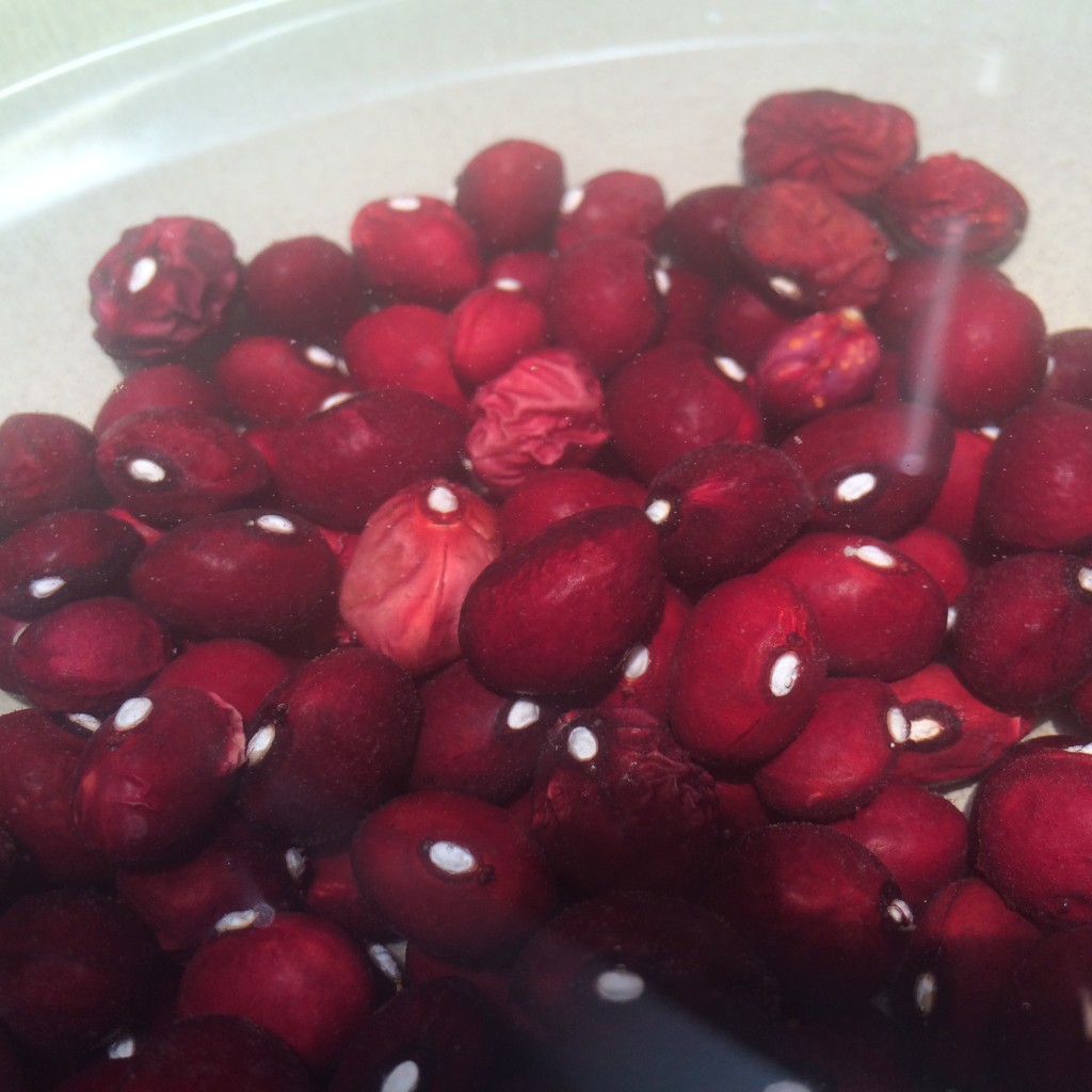 Heirloom beans soaking. (Photo: Mermaid and Phoenix)