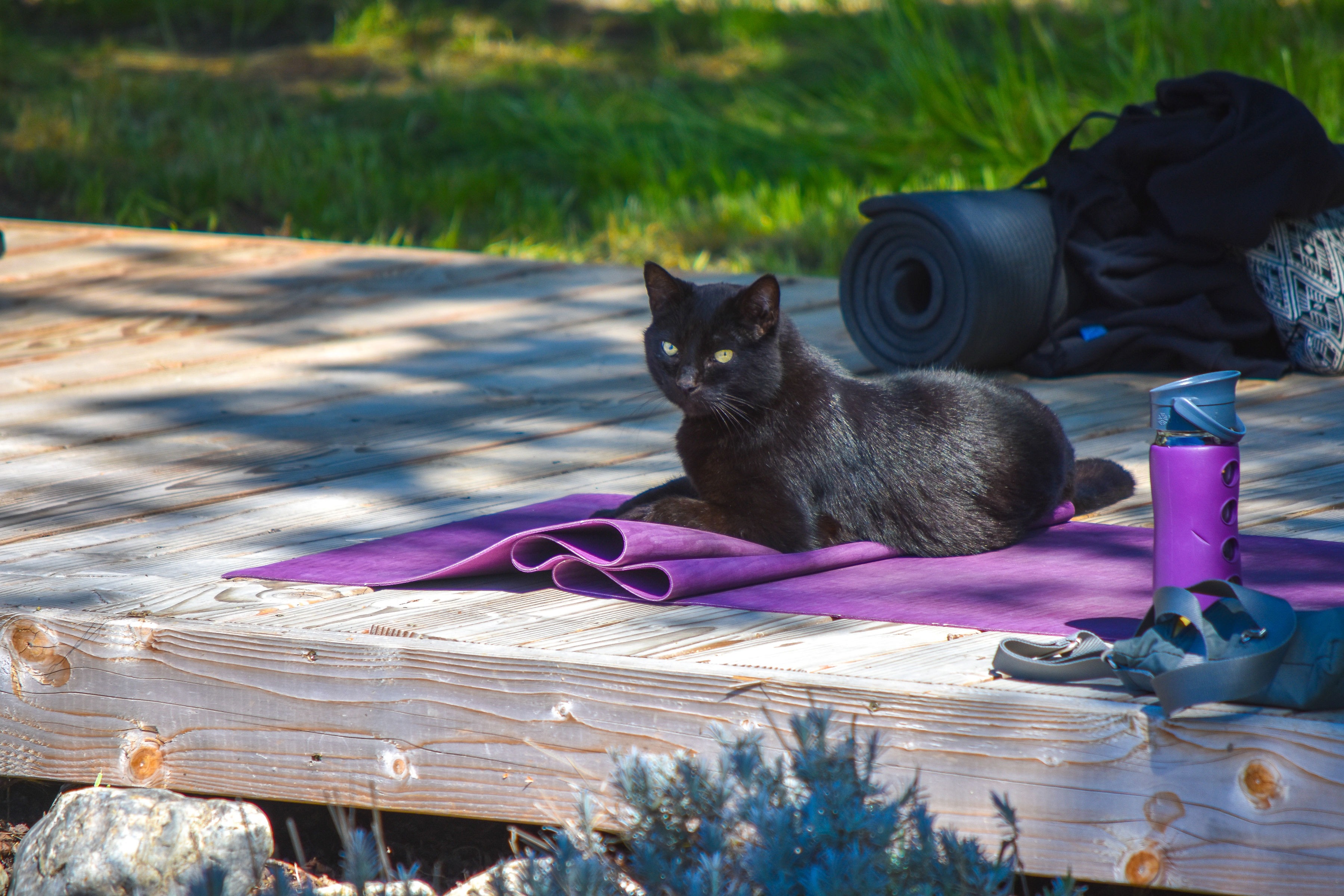 DSC_0541 DSC_0541