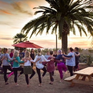 June: Summer Solstice Yoga & Meditation at Great Bear Vineyards