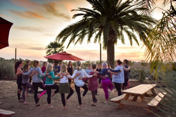 June: Summer Solstice Yoga & Meditation at Great Bear Vineyards