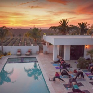 April: Yoga & Meditation at Great Bear Vineyards