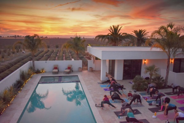 April: Yoga & Meditation at Great Bear Vineyards