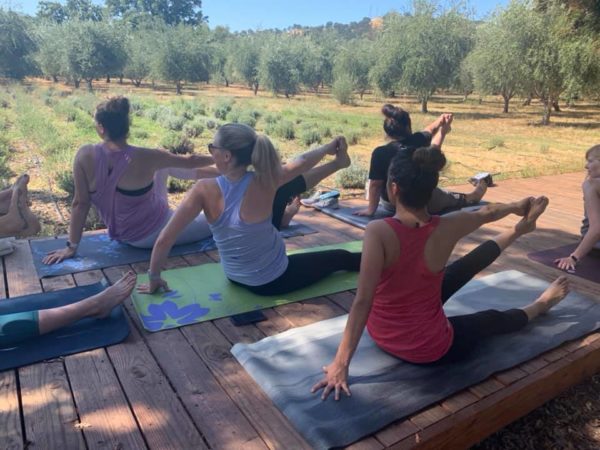 Cooling Yoga and Meditation at Soul Food Farm