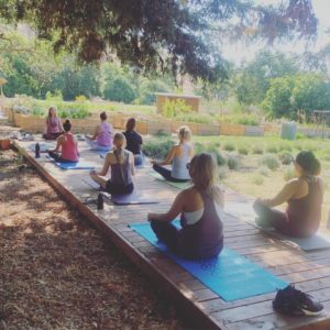 Inhale, Exhale, Exfoliate at Soul Food Farm