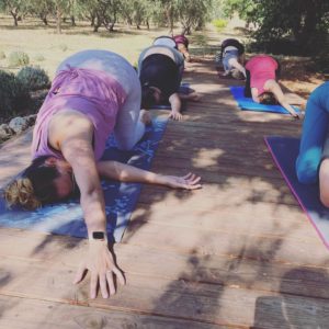 Fall Flow Yoga + Meditation + Farm-Inspired Refreshments - Soul Food Farm
