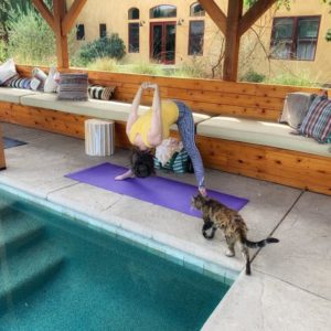 Great Bear Vineyard Transfer to Be Love Farm Event